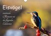 Buchcover Eisvögel - emotionale Momente mit den fliegenden Edelsteinen (Wandkalender 2016 DIN A4 quer)