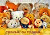 Buchcover TEDDYBÄR, OH TEDDYBÄR... (Tischkalender 2016 DIN A5 quer)