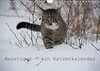 Buchcover Haustiger - Ein Katzenkalender (Wandkalender 2017 DIN A4 quer)