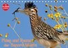 Buchcover Flora und Fauna der Sonora Wüste (Tischkalender 2017 DIN A5 quer)