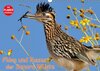 Buchcover Flora und Fauna der Sonora Wüste (Wandkalender 2017 DIN A3 quer)