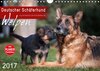 Buchcover Deutscher Schäferhund - Welpen (Wandkalender 2017 DIN A4 quer)
