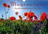 Buchcover Blumenwiesen – ein blütenzauberhaftes Jahr (Wandkalender 2017 DIN A4 quer)