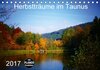 Buchcover Herbstträume im Taunus (Tischkalender 2017 DIN A5 quer)