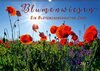 Buchcover Blumenwiesen – ein blütenzauberhaftes Jahr (Wandkalender 2017 DIN A2 quer)
