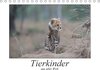 Buchcover Tierkinder aus aller Welt (Tischkalender 2017 DIN A5 quer)