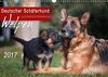 Buchcover Deutscher Schäferhund - Welpen / CH-Version (Wandkalender 2017 DIN A3 quer)
