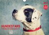 Buchcover Hundestars - Portraits der besonderen Art (Wandkalender 2017 DIN A4 quer)