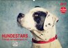 Buchcover Hundestars - Portraits der besonderen Art (Wandkalender 2017 DIN A2 quer)