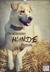 Buchcover Die schönsten Hunde Portraits (Wandkalender 2017 DIN A2 hoch)