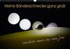 Buchcover Kleine Bänderschnecke ganz groß - Gemütlich durch das neue Jahr (Wandkalender 2017 DIN A3 quer)
