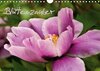 Buchcover Blütenzauber (Wandkalender 2017 DIN A4 quer)