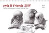 Buchcover owls & friends 2017 (Wandkalender 2017 DIN A4 quer)