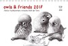 Buchcover owls & friends 2017 (Tischkalender 2017 DIN A5 quer)