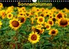 Buchcover Sonnenblumen (Wandkalender 2017 DIN A4 quer)