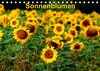 Buchcover Sonnenblumen (Tischkalender 2017 DIN A5 quer)
