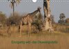 Buchcover Einzigartig Wild: Okawangodelta (Wandkalender 2017 DIN A4 quer)