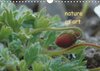 Buchcover nature as art (Wandkalender 2017 DIN A4 quer)