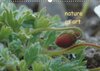 Buchcover nature as art (Wandkalender 2017 DIN A3 quer)