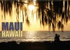 Buchcover Maui, Hawaii (Wandkalender 2017 DIN A2 quer)