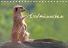 Buchcover Erdmännchen (Tischkalender 2017 DIN A5 quer)