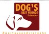 Buchcover Dogsbestfriends Kalender 2017 (Wandkalender 2017 DIN A3 quer)