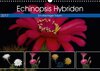 Buchcover Echinopsis Hybriden. Ein stachliger Traum (Wandkalender 2017 DIN A3 quer)