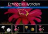 Buchcover Echinopsis Hybriden. Ein stachliger Traum (Wandkalender 2017 DIN A2 quer)