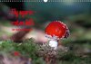 Buchcover Fly agaric - rotes Gift (Wandkalender 2017 DIN A3 quer)