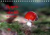 Buchcover Fly agaric - rotes Gift (Tischkalender 2017 DIN A5 quer)