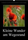 Buchcover Kleine Wunder am WegesrandAT-Version  (Wandkalender 2017 DIN A3 hoch)