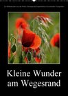 Buchcover Kleine Wunder am WegesrandAT-Version  (Wandkalender 2017 DIN A2 hoch)