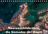 Buchcover Meeresschildkröten, die Nomaden der Meere (Tischkalender 2017 DIN A5 quer)