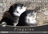 Buchcover Magellan-Pinguine (Tischkalender 2017 DIN A5 quer)