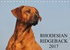 Buchcover Rhodesian Ridgeback 2017 (Tischkalender 2017 DIN A5 quer)