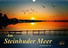 Buchcover Am Steinhuder Meer (Wandkalender 2017 DIN A3 quer)