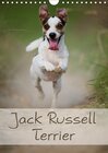 Buchcover Jack Russell Terrier (Wandkalender 2017 DIN A4 hoch)