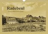 Buchcover Radebeul - Ein Kalender im Zeitungsstil (Wandkalender 2017 DIN A4 quer)