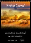 Buchcover Friesland - verzauberte Landschaft an der Nordsee / CH-Version / Planer (Tischkalender 2017 DIN A5 hoch)