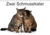 Buchcover Zwei Schmusekater / CH-Version (Tischkalender 2017 DIN A5 quer)