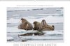 Buchcover Emotionale Momente: Die Tierwelt der Arktis / CH-Version (Wandkalender 2017 DIN A2 quer)