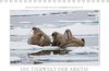 Buchcover Emotionale Momente: Die Tierwelt der Arktis / CH-Version (Tischkalender 2017 DIN A5 quer)