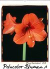 Buchcover Polacolor Blumen 1 (Wandkalender 2017 DIN A2 hoch)