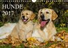 Buchcover Hunde - Treue Freunde für´s Leben (Wandkalender 2017 DIN A4 quer)