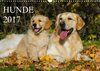 Buchcover Hunde - Treue Freunde für´s Leben (Wandkalender 2017 DIN A3 quer)