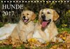 Buchcover Hunde - Treue Freunde für´s Leben (Tischkalender 2017 DIN A5 quer)