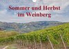 Buchcover Sommer und Herbst im Weinberg (Wandkalender 2017 DIN A4 quer)