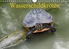 Buchcover Wasserschildkröten (Wandkalender 2017 DIN A4 quer)