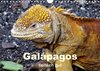 Buchcover Galápagos - tierisch gut (Wandkalender 2017 DIN A4 quer)