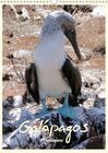 Buchcover Galápagos Familienplaner (Wandkalender 2017 DIN A3 hoch)